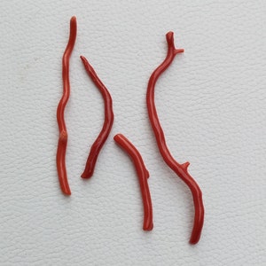 100% Natural Italian Red Coral Loose Branch, Red Coral Polish Long Small Coral Rough, Coral Gemstone &#39;&#39;Polished Sticks&#39;&#39; Coral Branches A609