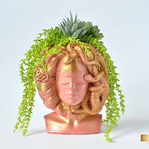 May include: A gold and pink planter shaped like a woman's head with snakes and a blindfold. The planter is filled with green succulents.