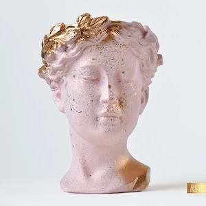 Greek Goddess Planter, Female Face Succulent Pot, Venus Head Vase, Home Decor, Pink Grecian Bust Vase, Makeup Brush Holder, Dry Flower Pot