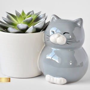 Grote kattenbak, woondecoratie, vetpot, kattenbak, Moederdagcadeau, dierenbak, leuk housewarmingcadeau, pot droge bloemen