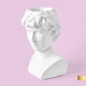 Greek God Planter, Apollo Bust Vase, Head Succulent Pot, Face Vase Home Decor, Concrete Flower Planter, Roman Style Pot, Male Grecian Statue