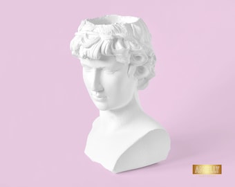 Greek God Planter, Apollo Bust Vase, Head Succulent Pot, Face Vase Home Decor, Concrete Flower Planter, Roman Style Pot, Male Grecian Statue