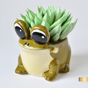 Large Ceramic Frog Planter, Succulent Pot, Indoor Home Decor, Cute Animal Planter, Kids Pen Holder Pot, Nordic Decor, Houseplant Planter