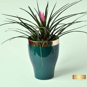 Peut inclure: Un pot en céramique vert avec un bord doré, contenant une plante d'intérieur avec des fleurs roses.