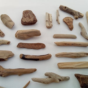 Small driftwood pieces. 48 pcs. Driftwood chunks. 28-70 mm (1.10&quot; - 2.75&quot;) Craft supply. Home decor. Lot. Bulk.