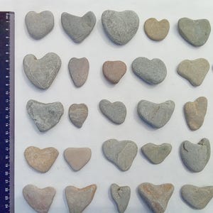 Pierres en forme de coeur. 3-5 cm (1,18"-1,96") Pierres marines assorties spéciales. Fourniture d'art en galets. Cœurs naturels mignons. 10 pièces