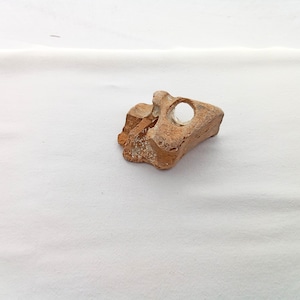 Hag stone. Adder stone from the Adriatic coast. Odin stone. Good luck stone. 79x59 mm (3.1"x2.3")