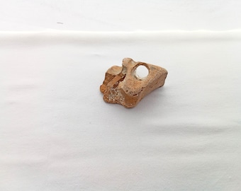 Hag stone. Adder stone from the Adriatic coast. Odin stone. Good luck stone. 79x59 mm (3.1"x2.3")