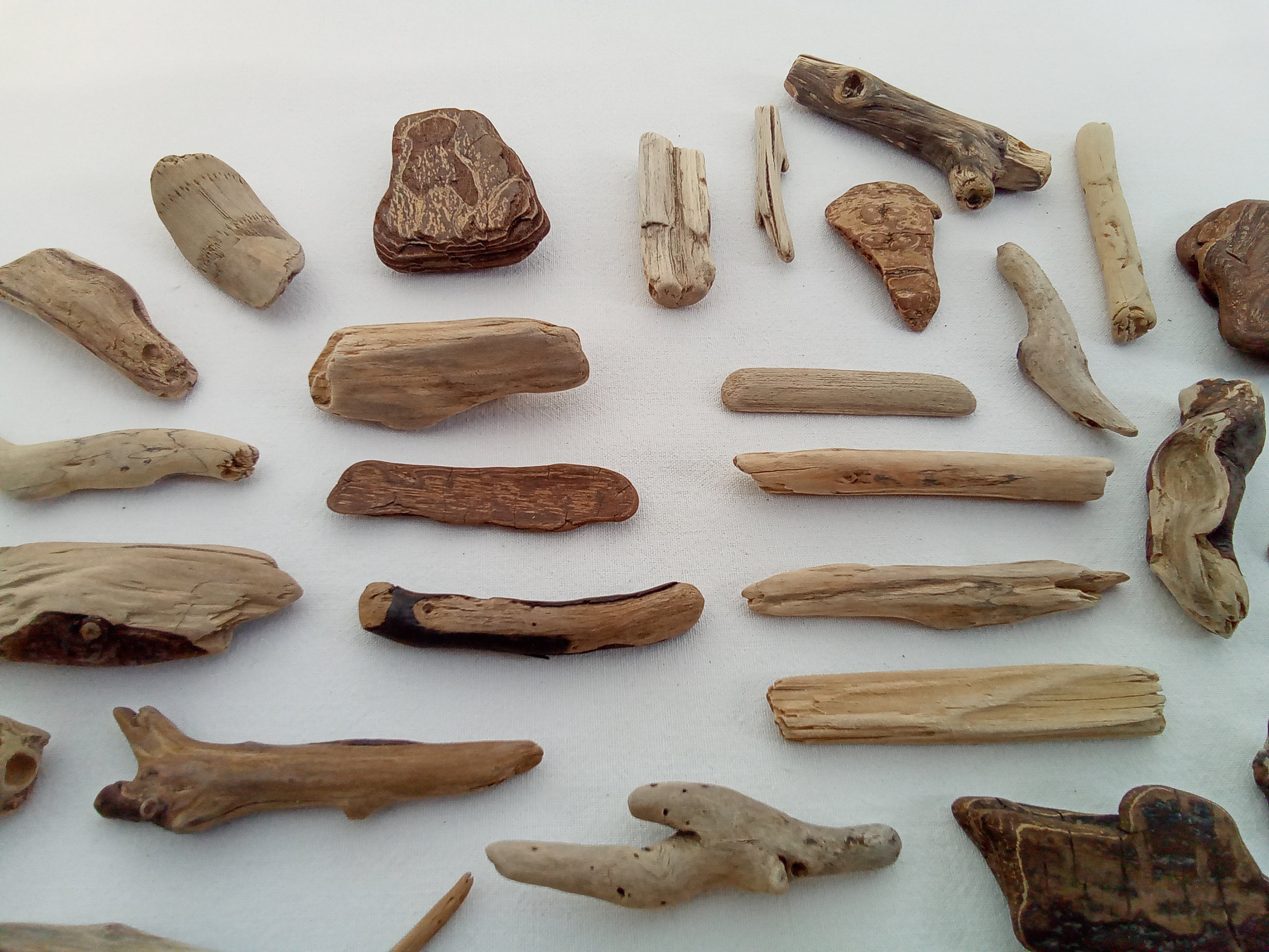 Small driftwood pieces. 48 pcs. Driftwood chunks. 28-70 mm (1.10" - 2.75") Craft supply. Home decor. Lot. Bulk.