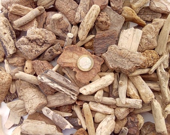 Driftwood pieces chunks. 100 pcs. Beach Flow wood. 25-60 mm (1&quot; - 2.36&quot;) DIY Craft Supply