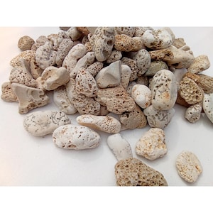 Zeekiezels met perforaties 25-50 mm (1-2”) Stenen met putjes aan het oppervlak. Rustic Style Rocks Nautical Home Decor Mixed Media DIY Craft Art