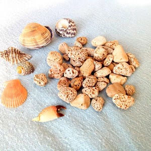 Guijarros marinos especiales, piedras naturales porosas picadas, 15-25 mm (0,59-1”), 50 unidades, estilo rústico, decoración costera de temporada para el hogar, manualidades DIY, arte con técnica mixta.