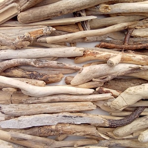 Driftwood sticks. Craft supply. Beach home decor. Medium size beach wood. 120-180 mm (4.72&quot; - 7.08&quot;) 50+ pcs. Lot. Bulk.