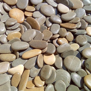 May include: A close-up of a pile of smooth, oval-shaped stones in shades of gray, brown, and beige. The stones are arranged in a random pattern, creating a natural and textured background.