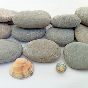 Guijarros marinos grandes. Piedras marinas planas de 50-70 mm (1,96"-2,75") 6 uds. Material decorativo para manualidades. Rocas para pintar. Material para pintar.