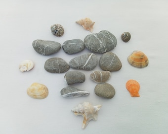 Small stones with stripes. 30-53 mm (1.18"-2") Natural striped rock. Gray sea pebbles with white stripes. 20 pcs.