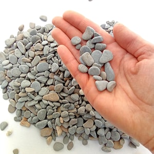 Small Tiny Sea Pebbles. Flat Sea Stones. Gray Beach Pebbles 0-30 mm (0-1.18") 500 pcs