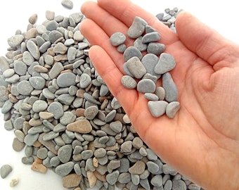 Small Tiny Sea Pebbles. Flat Sea Stones. Gray Beach Pebbles 0-30 mm (0-1.18") 500 pcs
