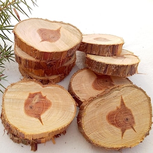 Fette di legno di ginepro sfuse. Diametro 6 cm (2,3"). Lotto di tronchi di legno per il fai da te. Spessore 1 cm (0,4"). Deodorante per ambienti con aroma naturale di incenso biologico.