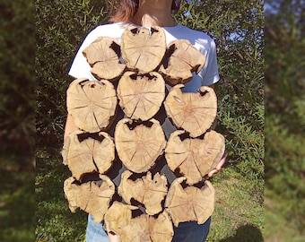 Log Wall Art. Driftwood Wall Decor. Tree Slice Panel. Minimalist Decoration. Wooden Ring Home Decor Hanging Natural Trunk Circle Arrangement