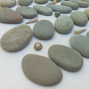 Large Sea Stones. Flat Sea stones 50-75 mm (1.96-2.95"). Painting rocks. Decorative craft supply.
