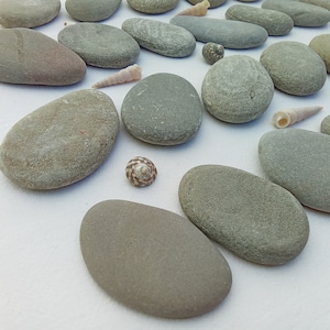 Large Sea Stones. Flat Sea stones 50-75 mm (1.96-2.95&quot;). Painting rocks. Decorative craft supply.
