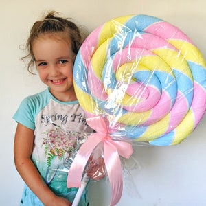 Giant fake lollipop Candy land prop / Lollipop props / Candy shop prop / Candyland Decoration / Party decor / Candy props Giant lolly Pink,yellow,blue