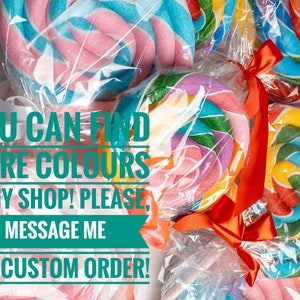 Giant fake lollipop Candy land prop / Lollipop props / Candy shop prop / Candyland Decoration / Party decor / Candy props Giant lolly image 10