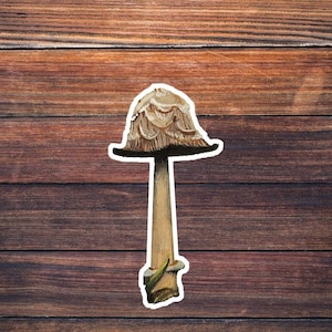 3 inch Pilz Aufkleber
