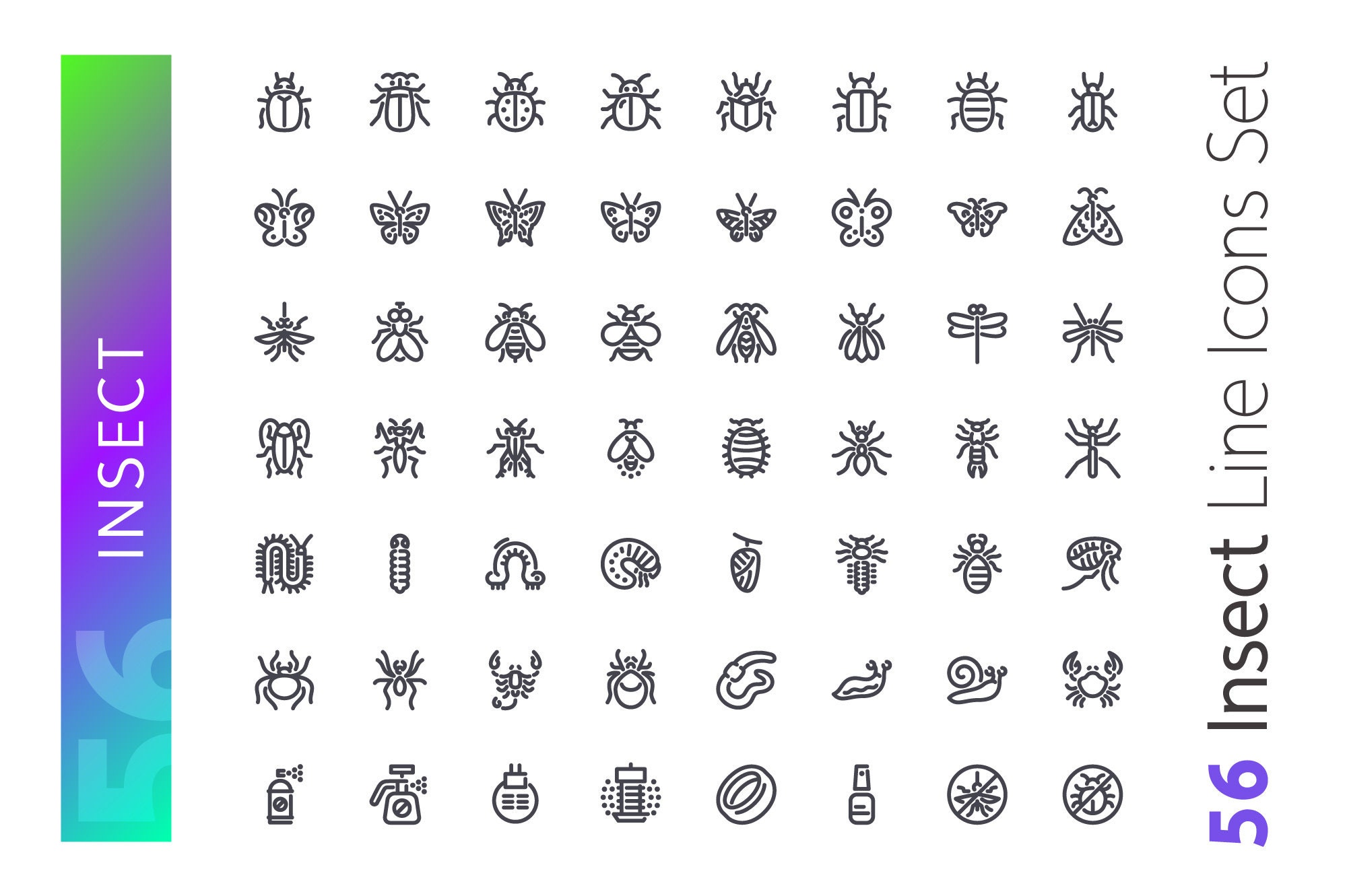 Insect Line Icons Set - Etsy