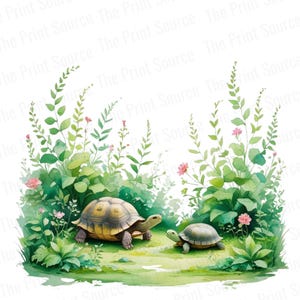Watercolor Turtle Clipart PNG, Cute Tortoise Illustration, Nature Garden Art, Woodland Animal Decor, Printable Wildlife Painting