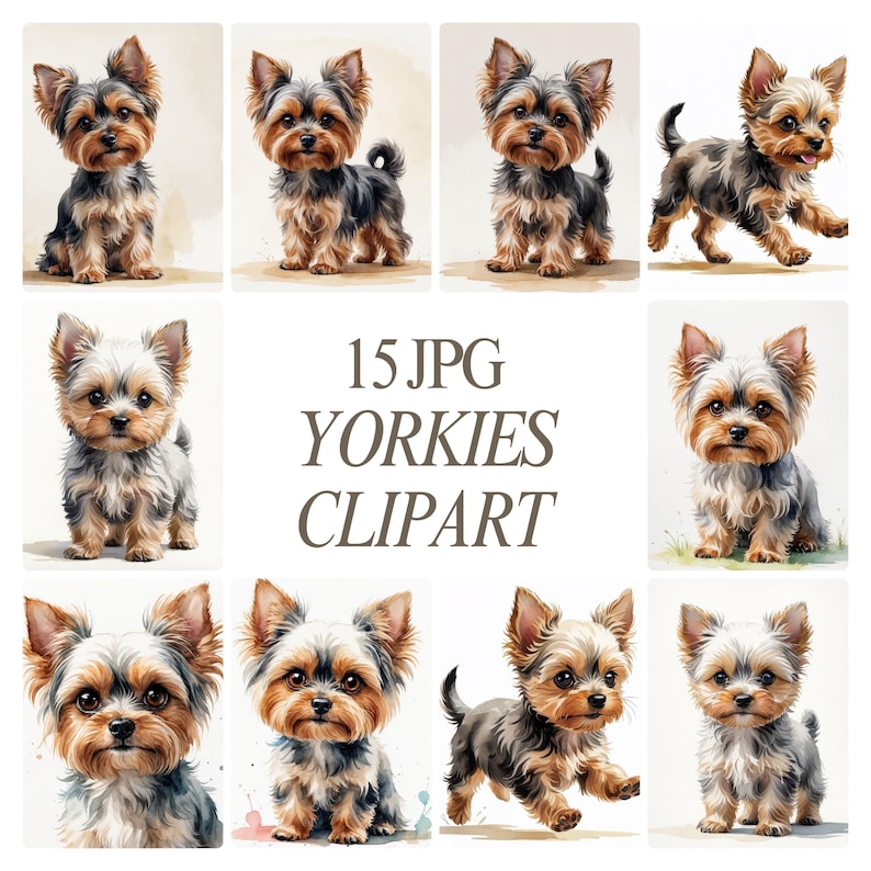 15 Yorkies JPG Clipart | Cute Yorkshire Terrier Dog Art | Yorkie ...