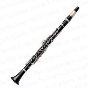 May include: A black clarinet with silver keys and a white mouthpiece. The clarinet is a woodwind instrument used in orchestras and bands.