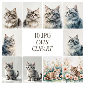 10 Cats JPG Clipart | Cute Cat Digital Art | Pet Clipart for Stickers, Sublimation, Crafts, Cards, Scrapbooking & Decor