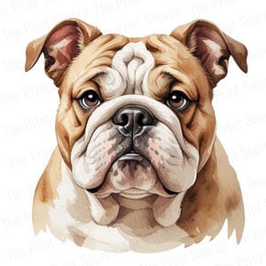 Bulldog Watercolor Clipart PNG | Cute Dog Digital Download | Pet Portrait Illustration | Sublimation Design | Dog Art Print