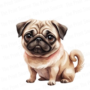 Pug Watercolor Clipart PNG | Cute Dog Digital Download | Pet Portrait Illustration | Sublimation Design | Pug Lover Gift | Dog Art