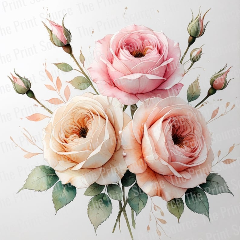 10 Roses JPG Clipart | Romantic Floral Digital Art | Beautiful Rose ...