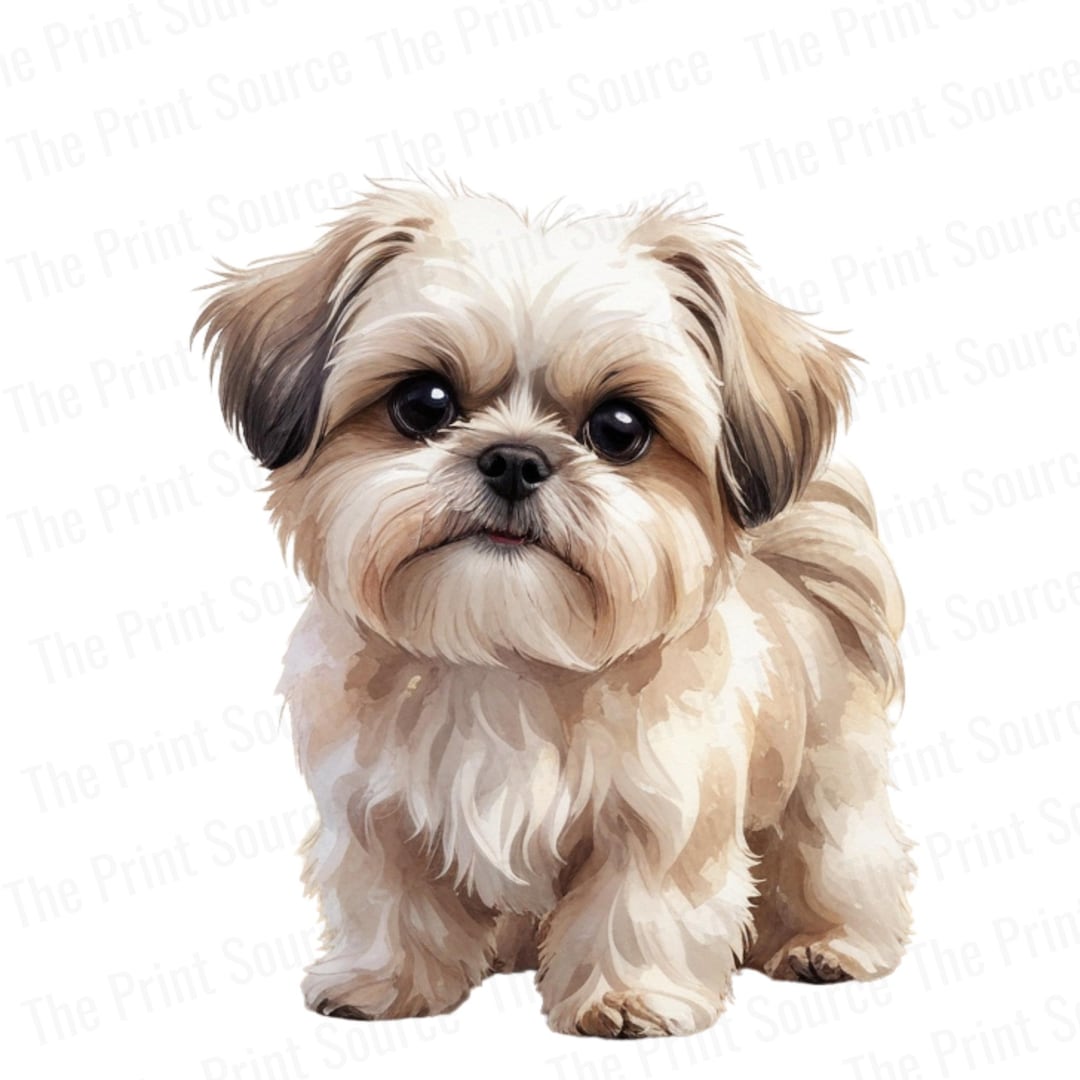 Shih Tzu Watercolor PNG Clipart | Cute Dog Digital Art | Pet Portrait ...