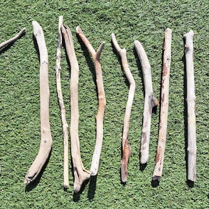 Natural Driftwood – Set of 10 (30cm each) | Perfect for Arts & Crafts, Decor, and DIY Projects. Seaside Decoration, Interior Design (DW2)