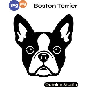 May include: A black and white graphic illustration of a Boston Terrier dog head. The design features the text Boston Terrier at the top and Outnine Studio at the bottom. The image includes small circular icons labeled svg and png in the corner.