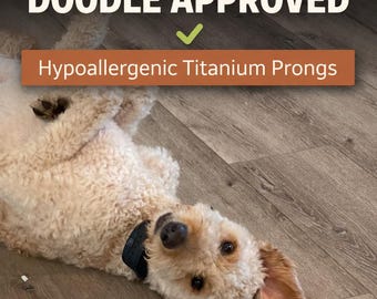 Hypoallergenic Titanium Prongs for Dog Collar