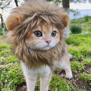 Simba 2025 cat costume