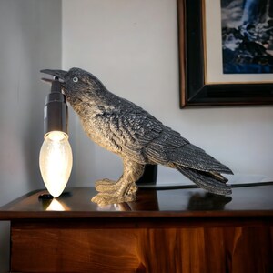 Raven light lamp deals