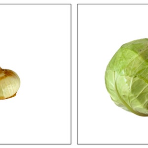 PDF Stampabile - Carte Montessori 0-3 Frutta e verdura Autunno