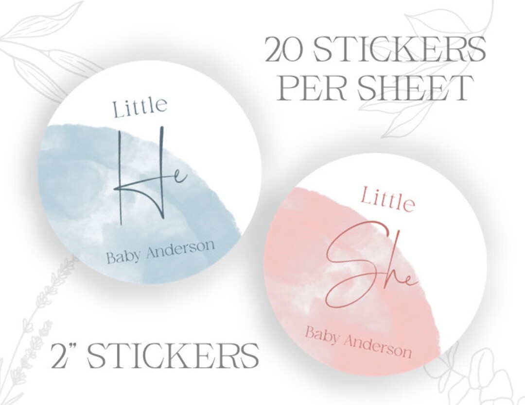 Gender Reveal Stickers Little He, Little She Watercolor - Etsy