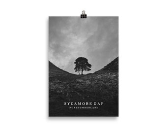 Sycamore Gap Northumberland Print