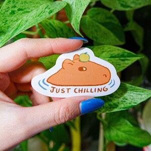 Peut inclure: Un autocollant blanc avec une illustration de capybara en dessin animé avec un fruit jaune sur la tête. Le capybara flotte dans l'eau avec des ondulations bleues. Le texte "JUST CHILLING" est sous le capybara.