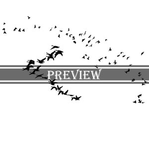 BIRDS SILHOUETTE OVERLAY, digital downloads, photoshop, personal, commercial use