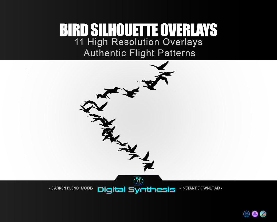 Bird Pattern Overlay Real Bird Silhouette Overlays – 11 High‑resolution PNG Flock Overlays ...