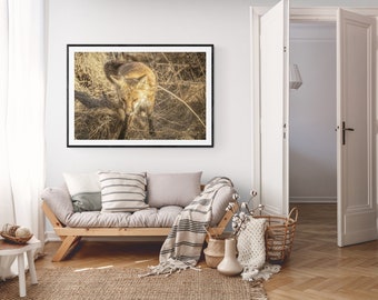 PRINTABLE WALL ART, majestic nature, close up fox, digital download, print from home, print for framing, home decor